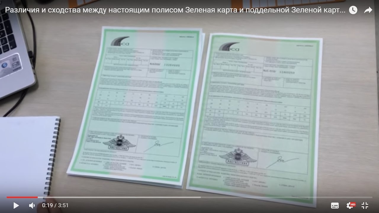 Что такое зеленая карта, сколько она стоит и где её можно купить?